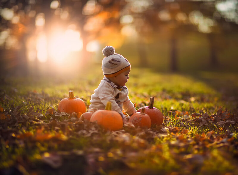 Baby Sitting Among Pumpkins