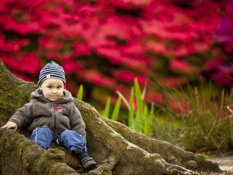 Baby Sitting on Tree Root — Red
