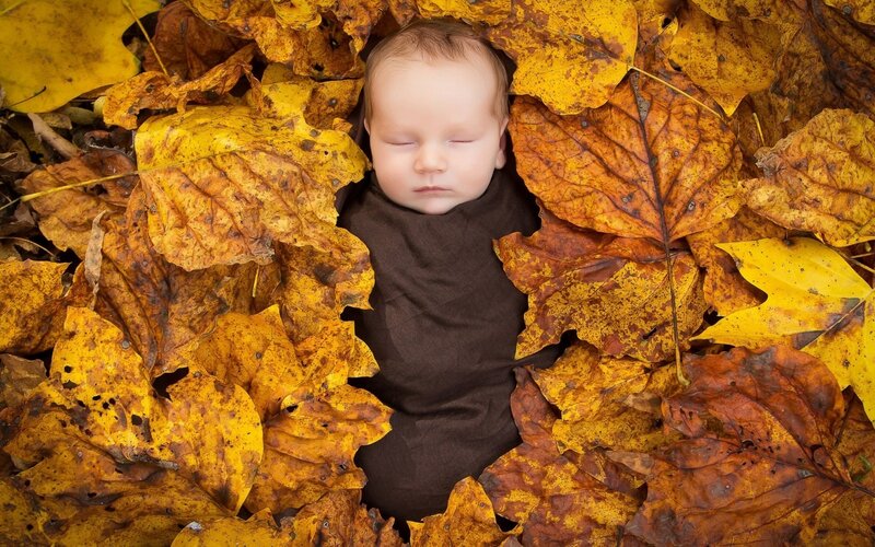 Baby sleeping in autumn leaves