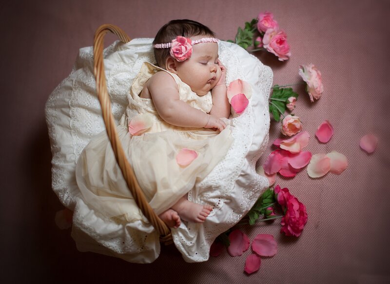 Baby Sleeping in Basket — Pink