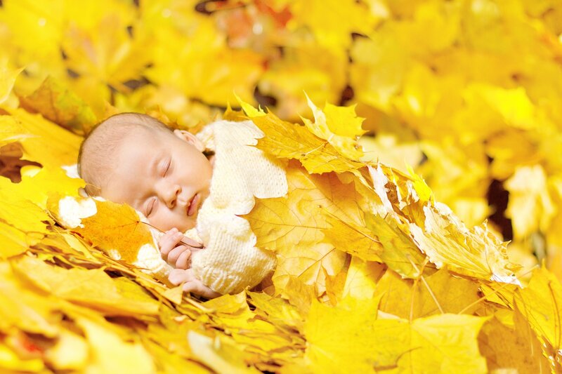 Baby Sleeping in Leaves