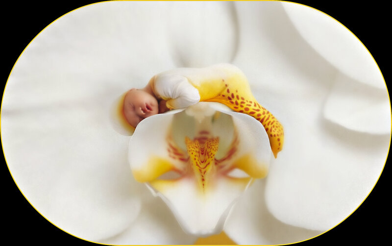 Baby Sleeping in Orchid