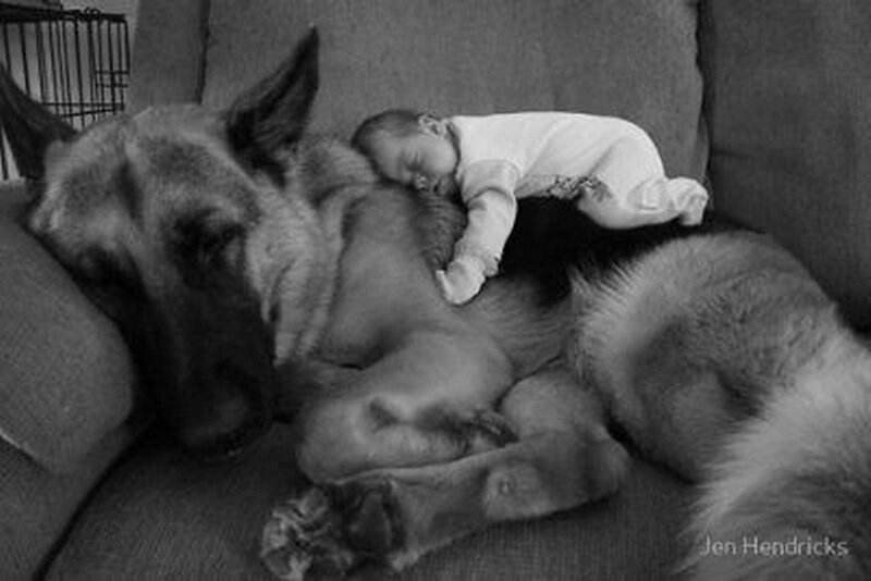 Baby Sleeping on Dog