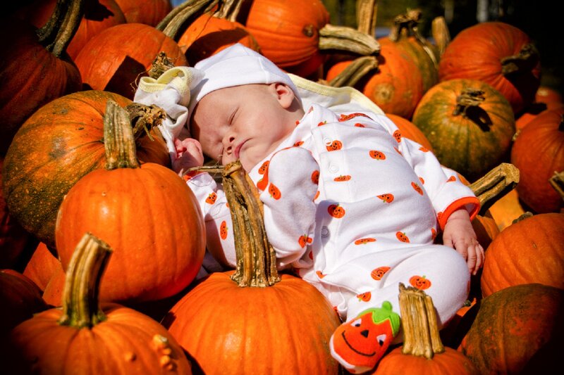 Baby Sleeping on Pumpkins