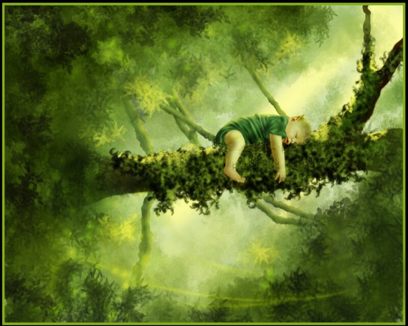 Baby Sleeping on Tree Branch