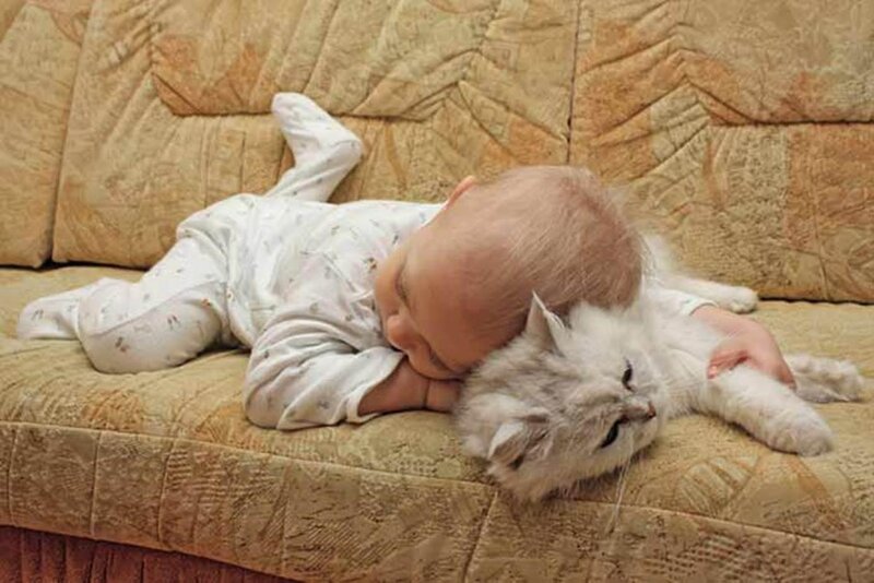 Baby Sleeping with Cat — Beige