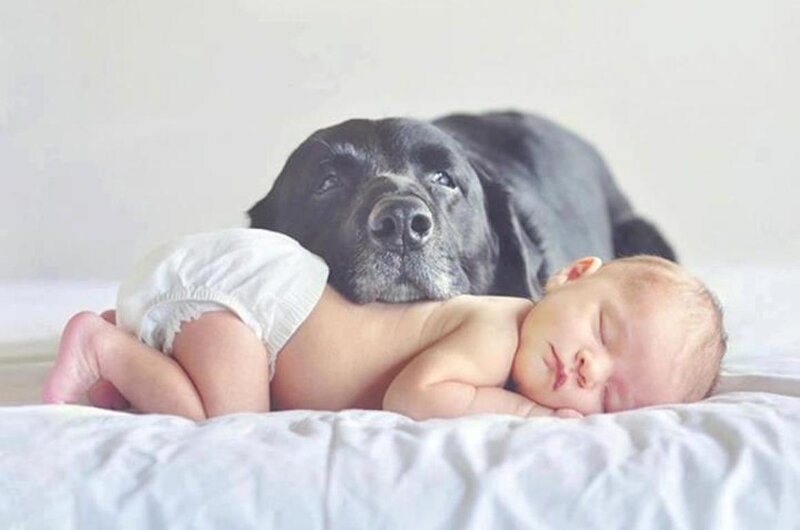 Baby Sleeping with Dog — White