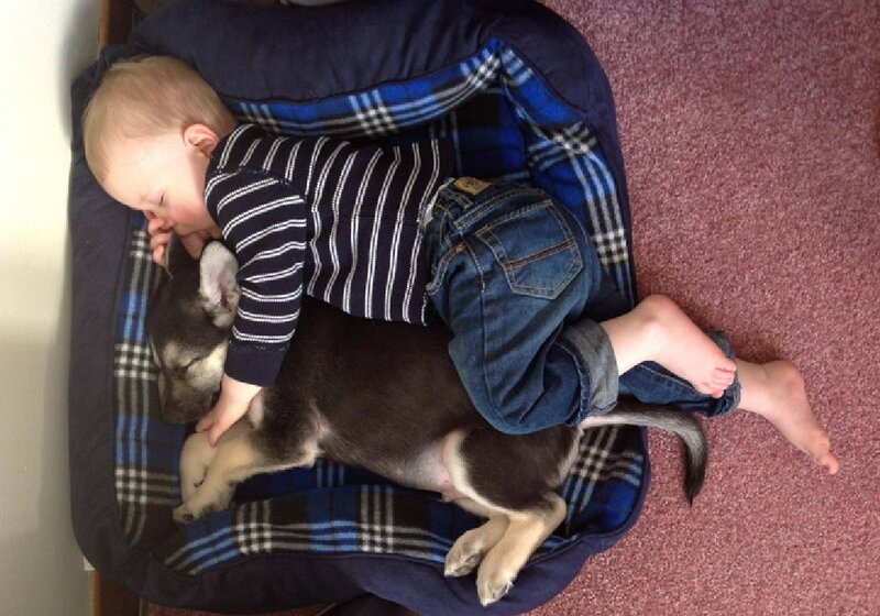 Baby Sleeping with Puppy