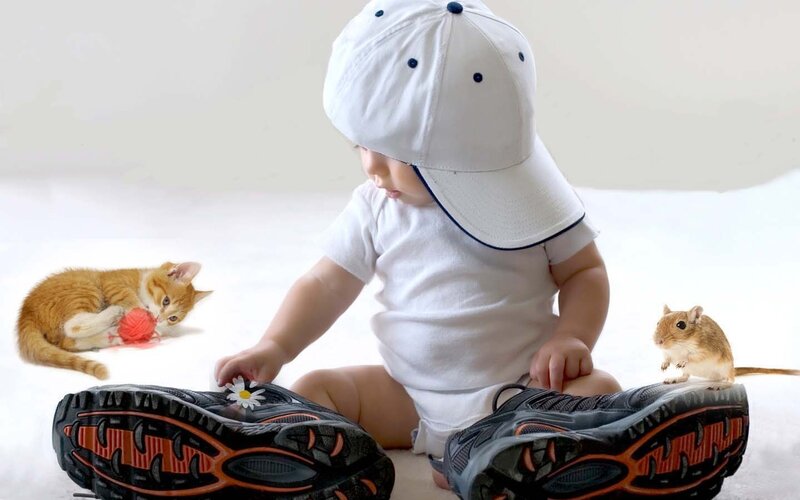 Baby with Animals