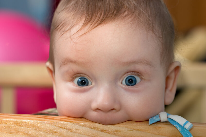 Baby with Blue Eyes — Curious