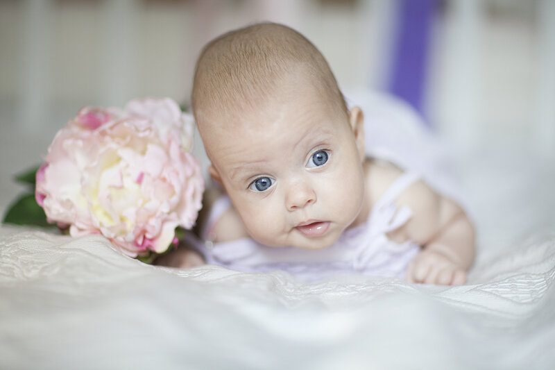 Baby with Blue Eyes — White, Calm, Photograph, Flower