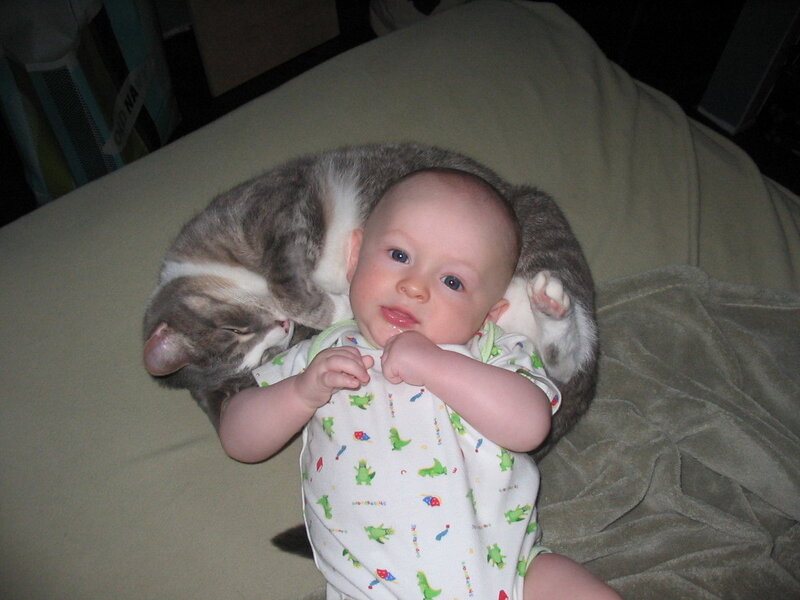 Baby with Cat
