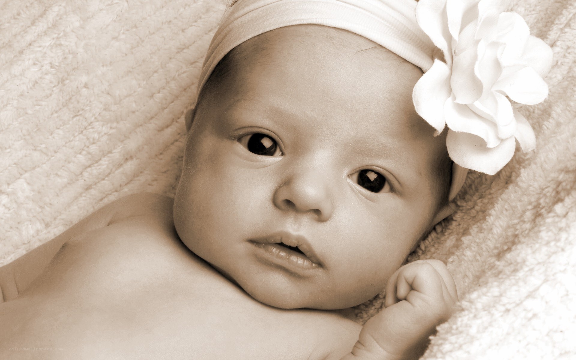 baby with flower headband