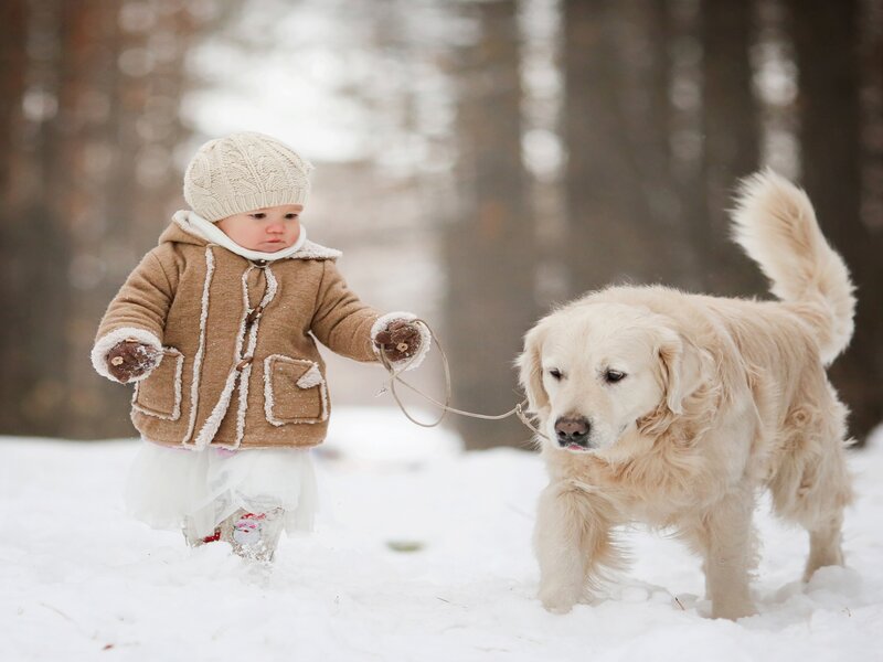 Baby with Golden Retriever — White
