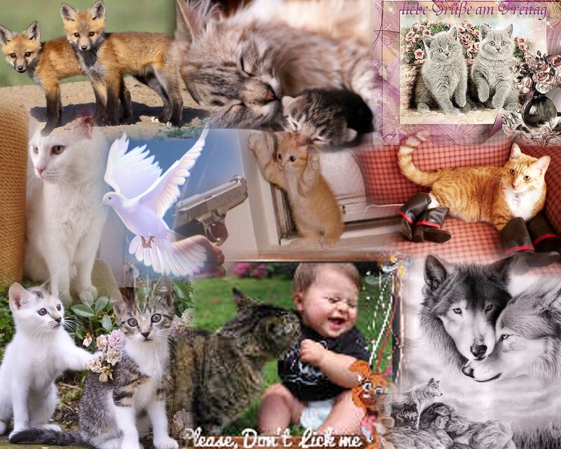 Baby with Kittens