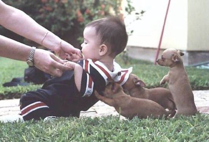 Baby with Puppies — Green