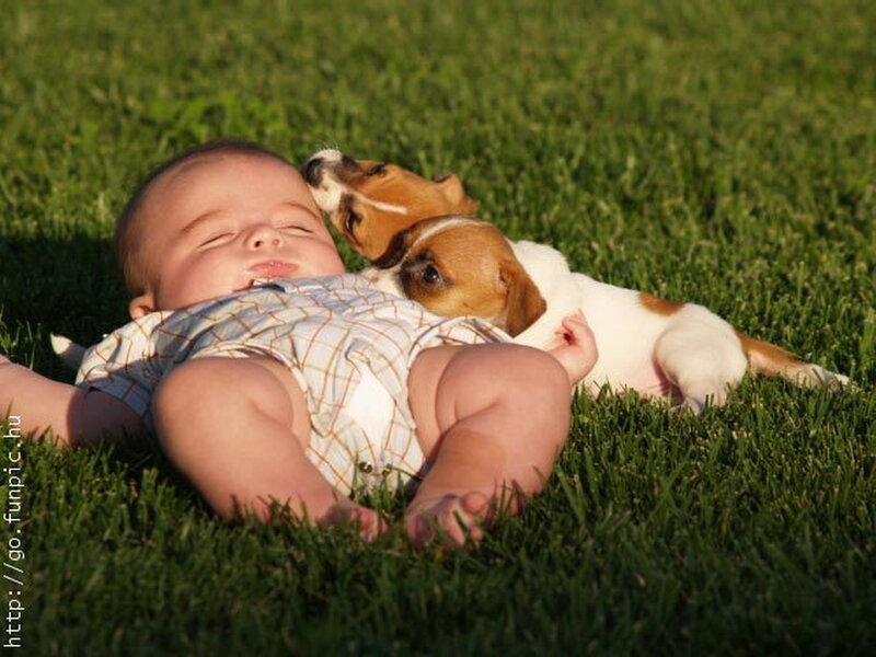 Baby with Puppies
