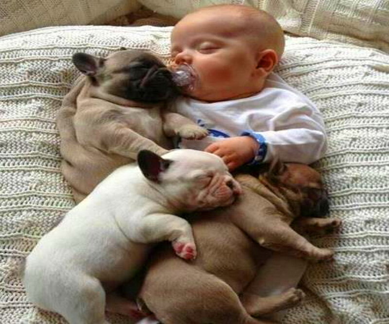 Baby with Puppies — White