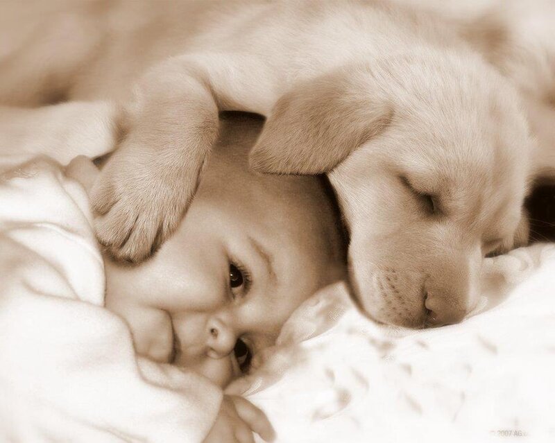 Baby with Puppy — Sepia