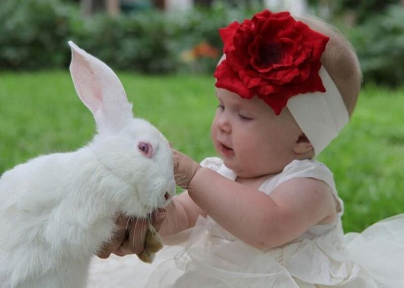 Baby with White Rabbit — Calm