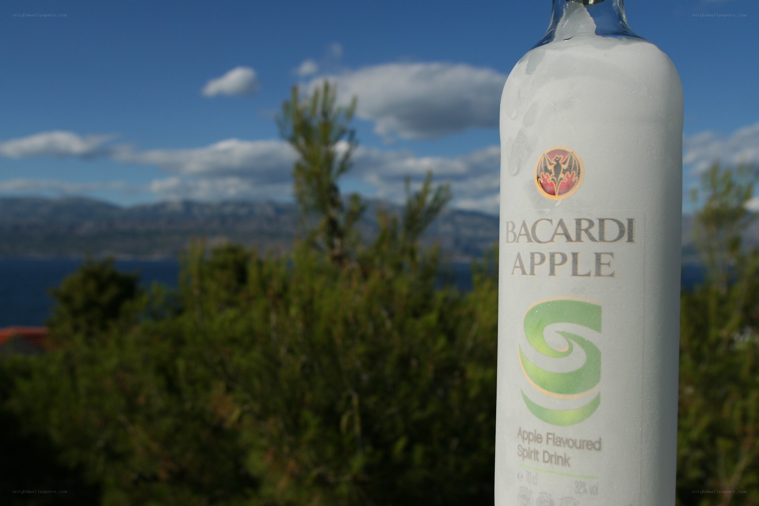 Bacardi Apple bottle outdoors