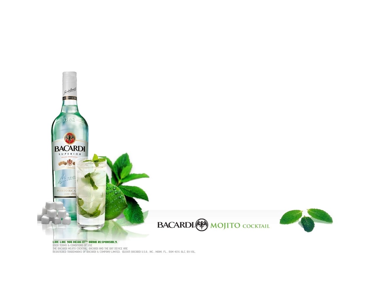 Bacardi Mojito Cocktail