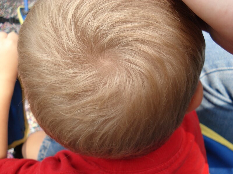 back of a child's head