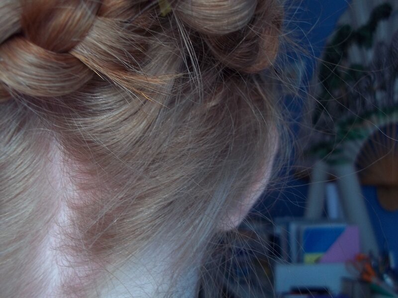 back of braided hair