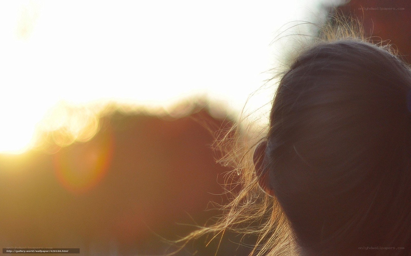 back of head in sunlight