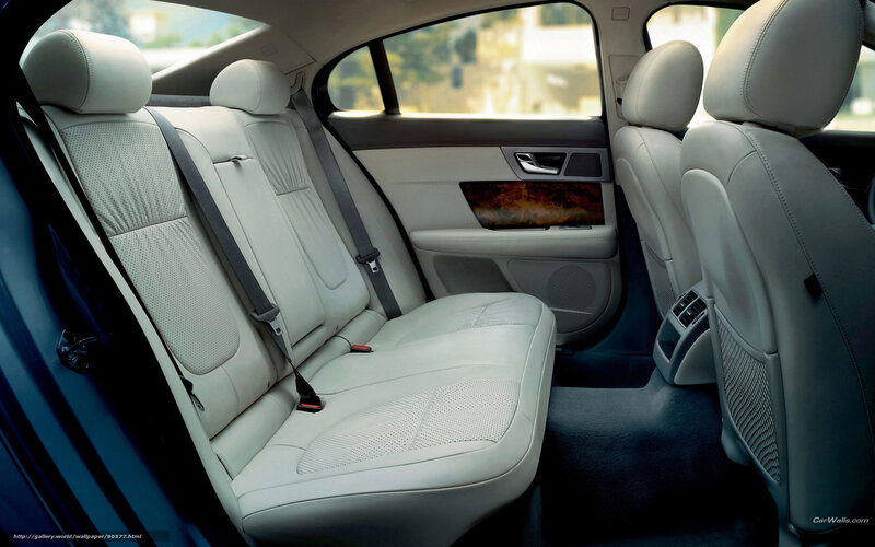 Back Seats of a Car