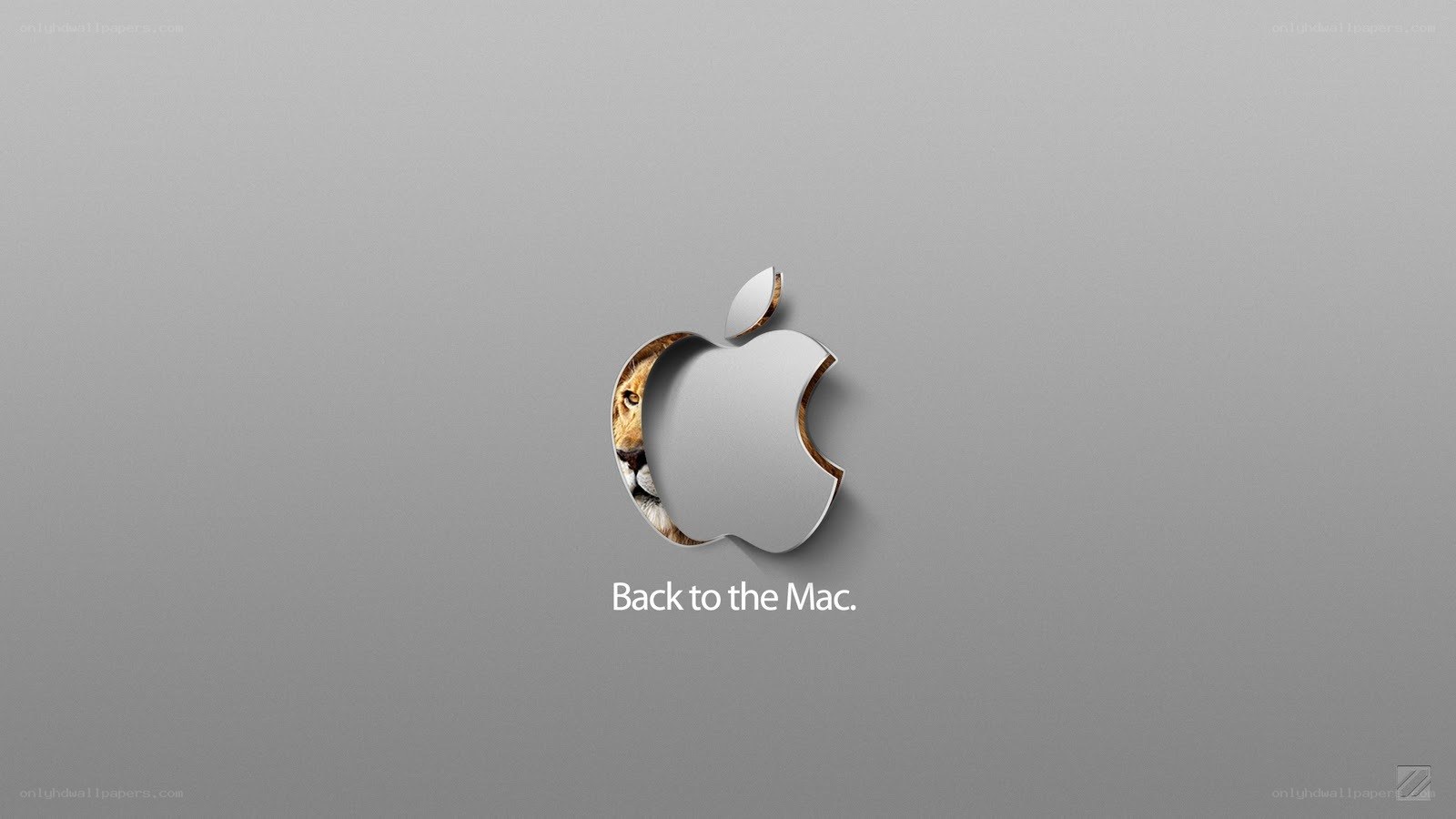 Back to the Mac