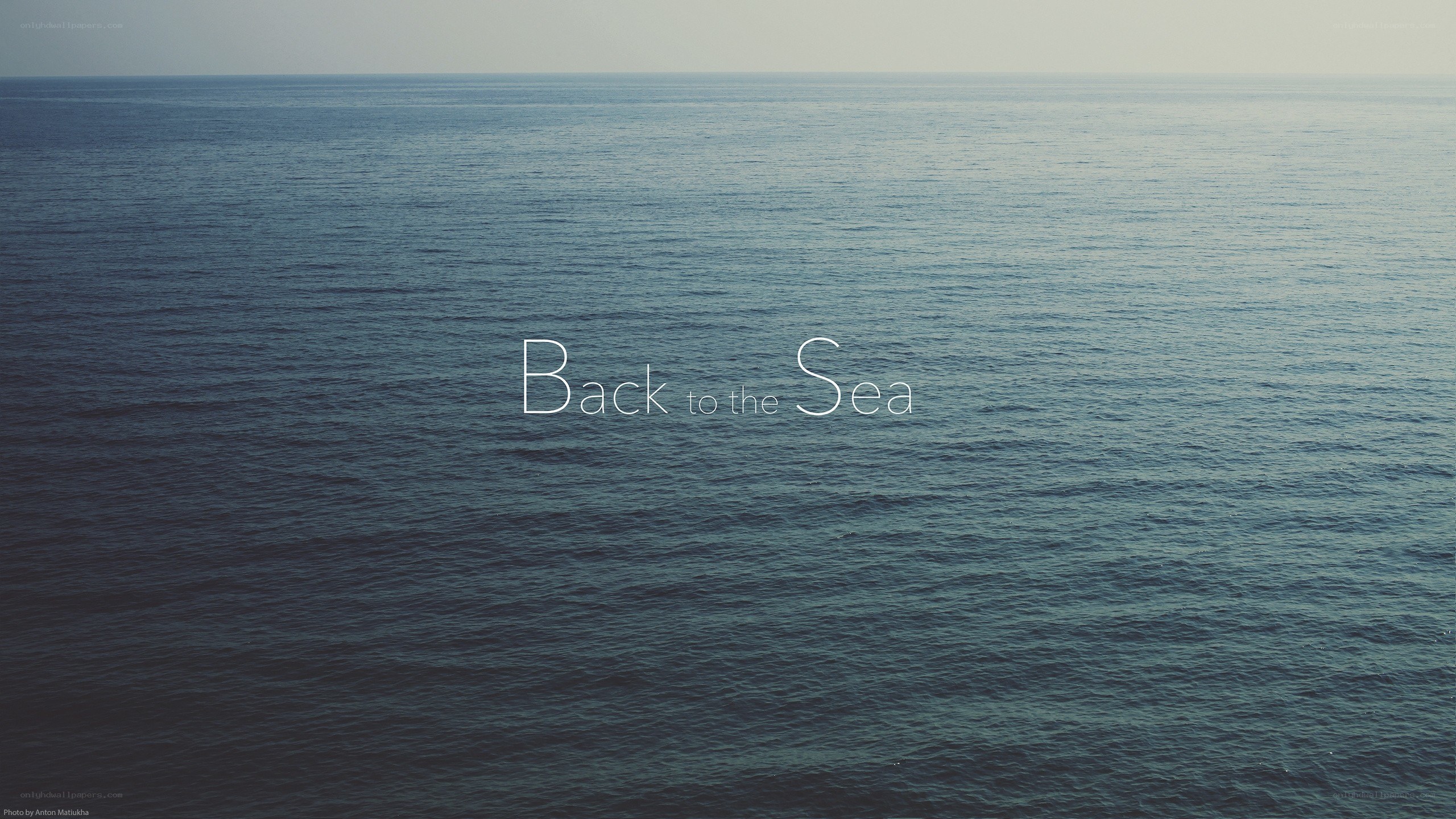 Back to the Sea