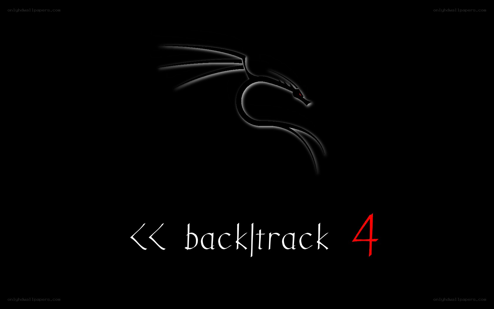 BackTrack 4 logo