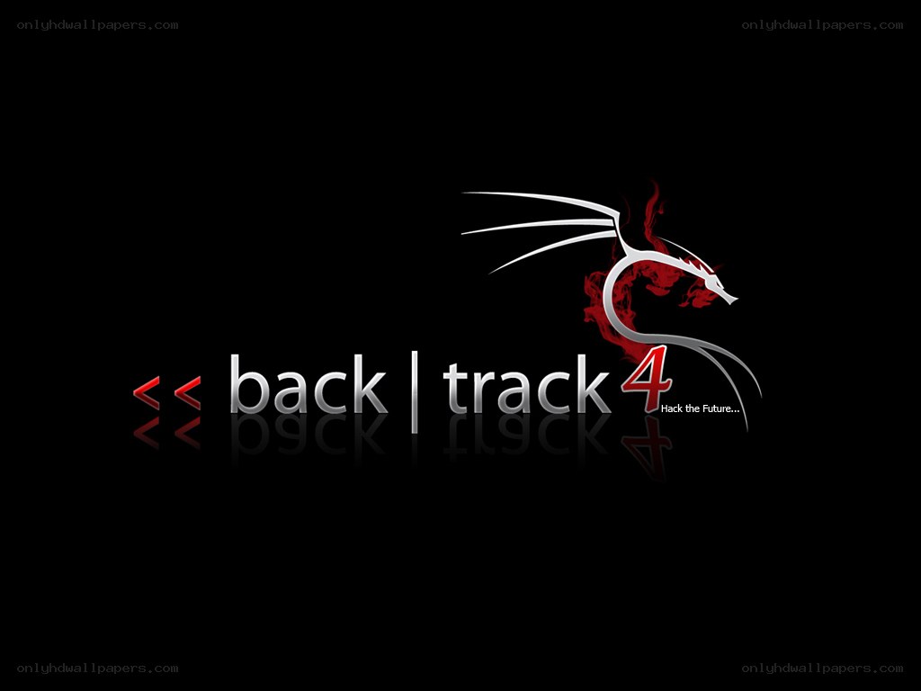 BackTrack 4 logo