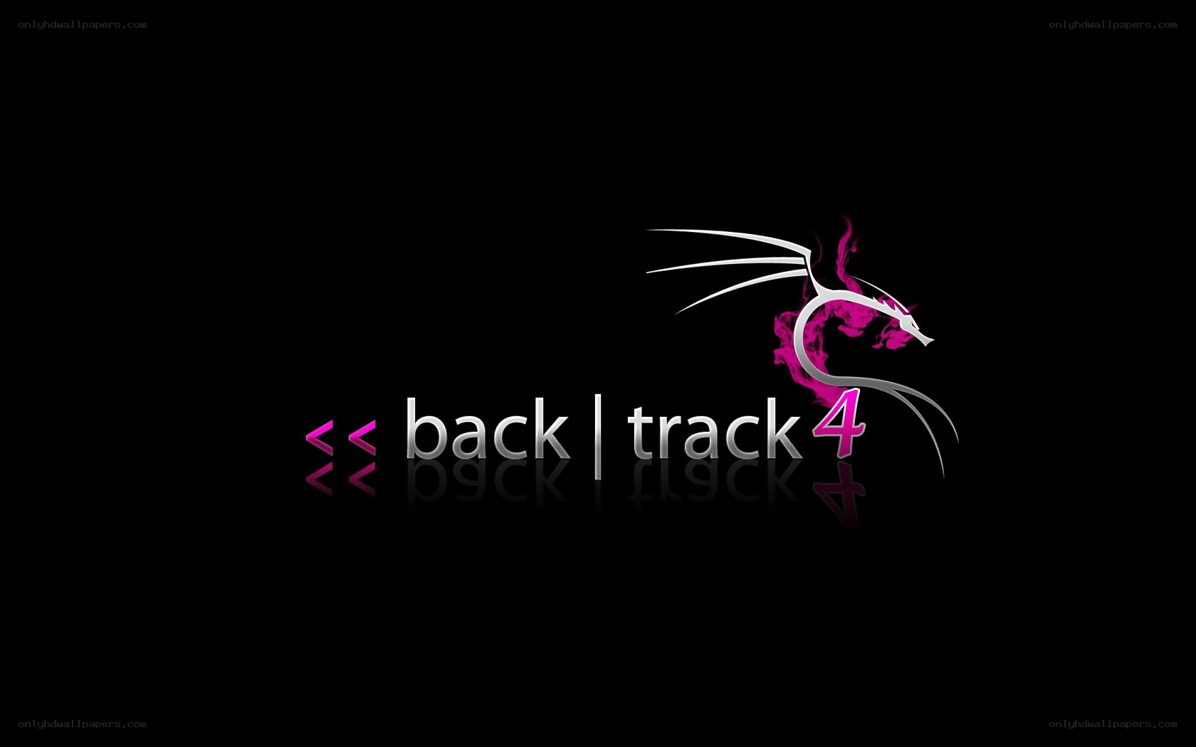 BackTrack 4 logo