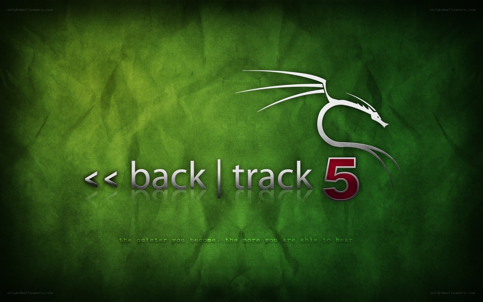 BackTrack 5 logo