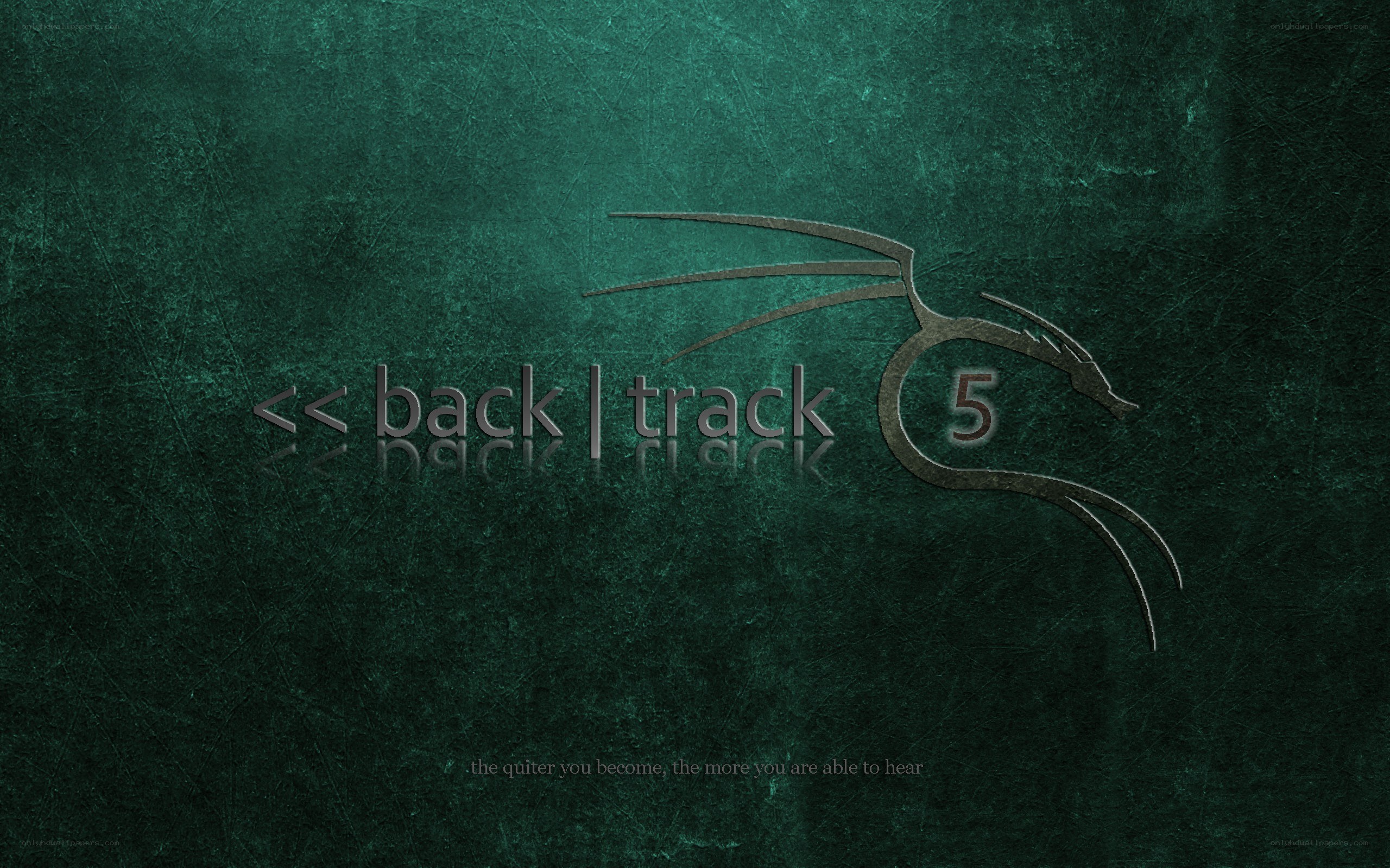 Backtrack 5 logo on green background