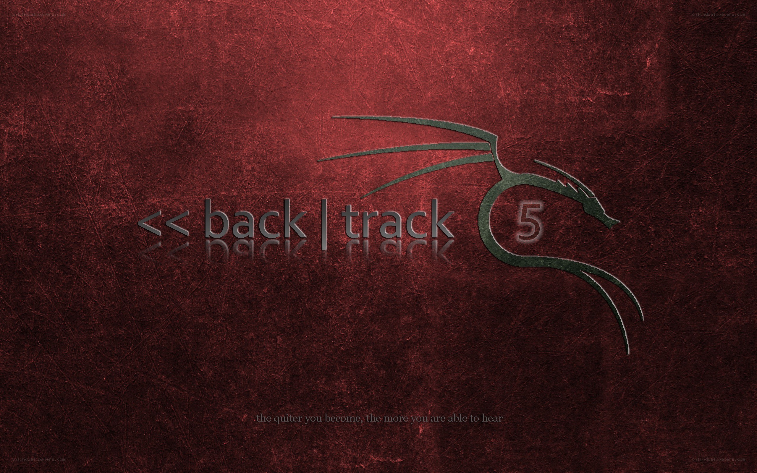 BackTrack 5 logo on red background