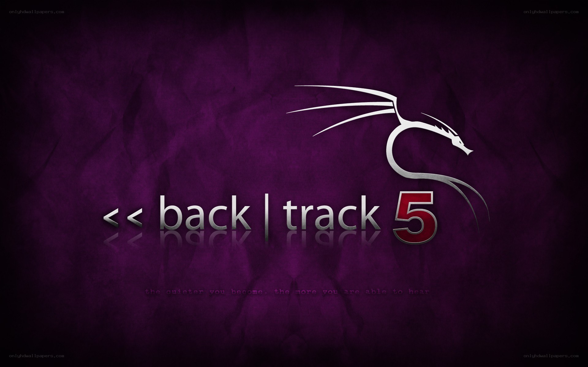 BackTrack 5 logo wallpaper