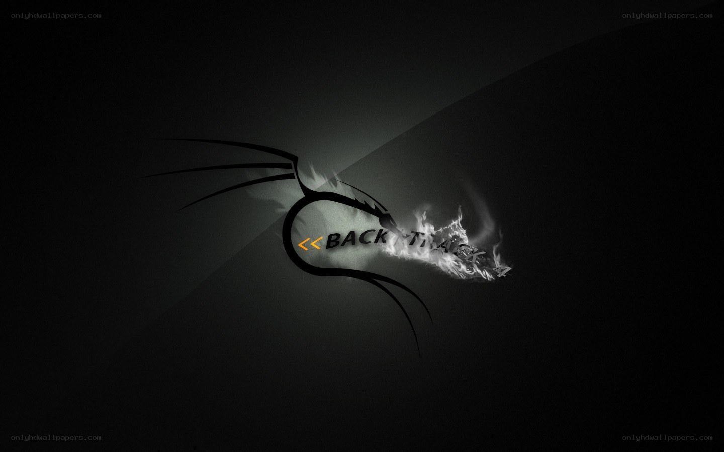 BackTrack logo with dragon