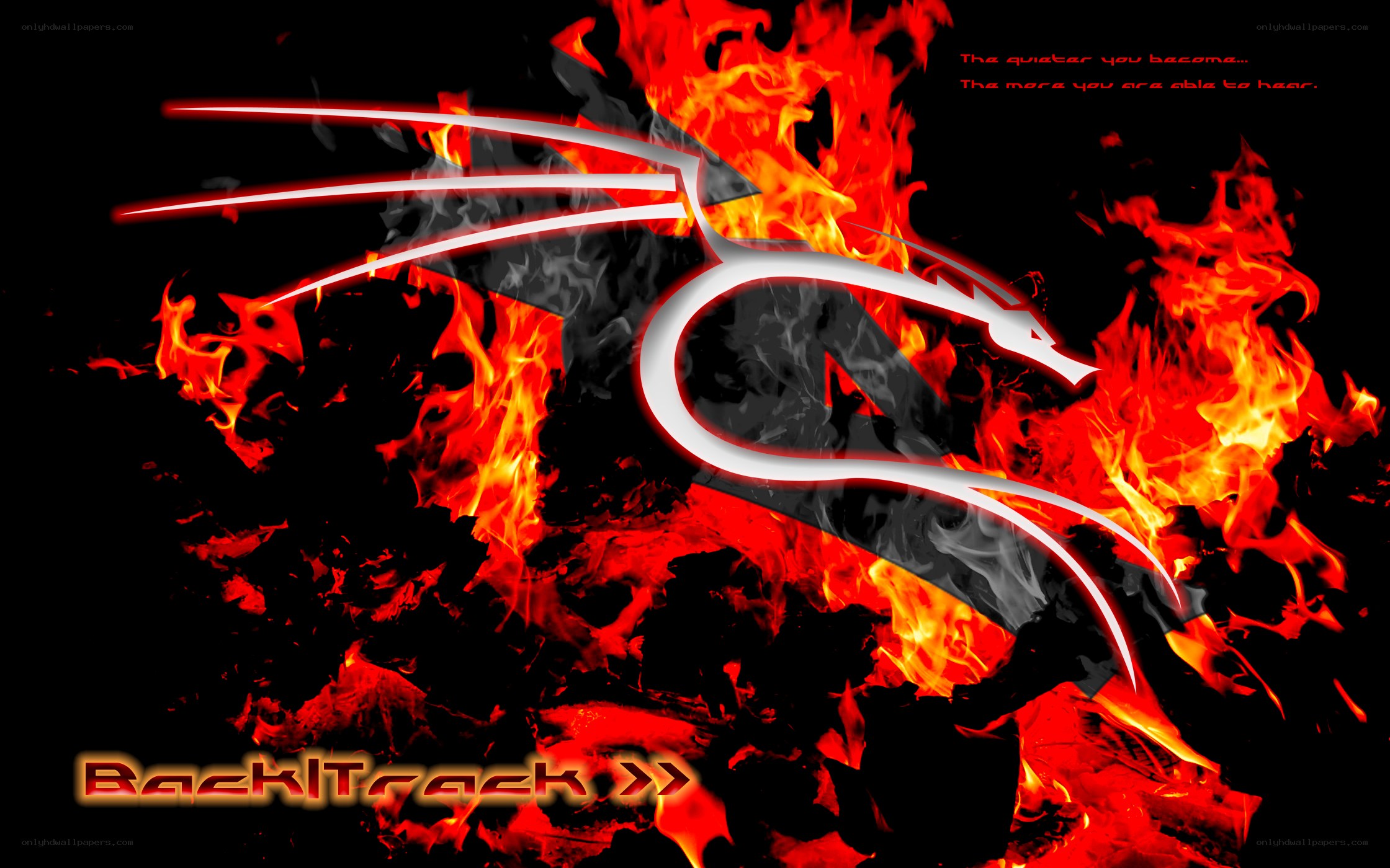 BackTrack logo with flames