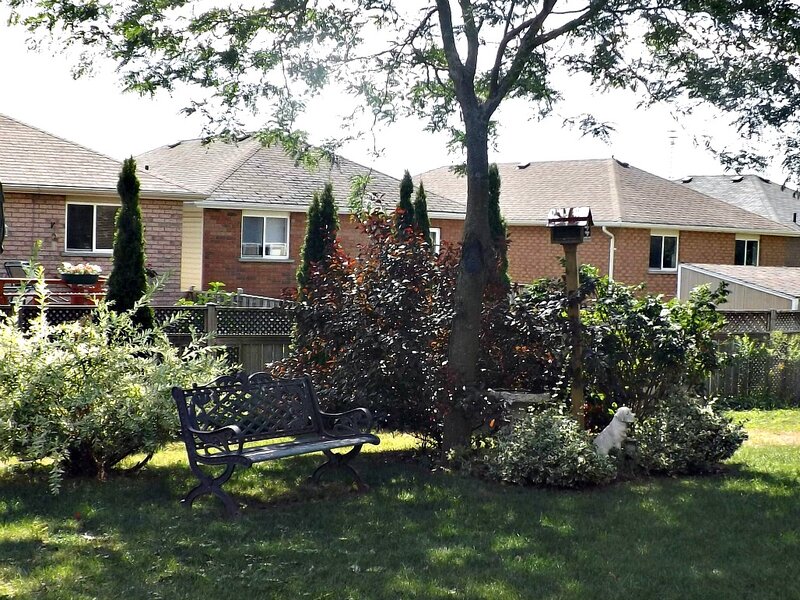 Backyard Garden Scene
