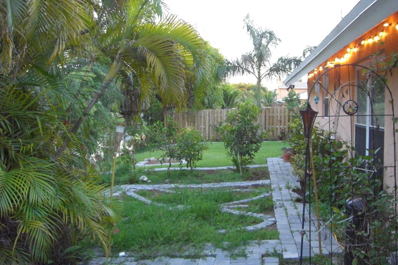 backyard garden with palm trees