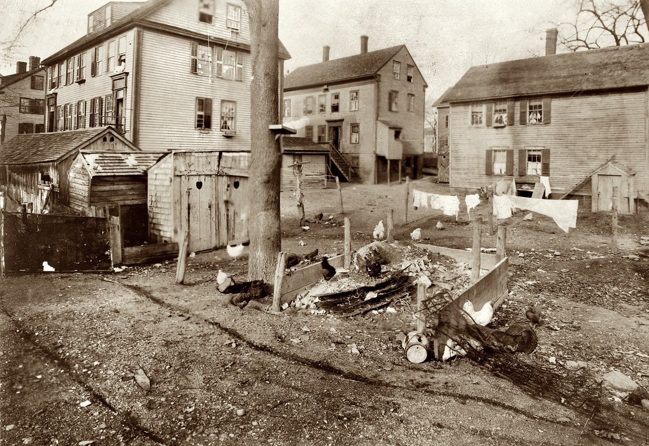 Backyard in a crowded neighborhood