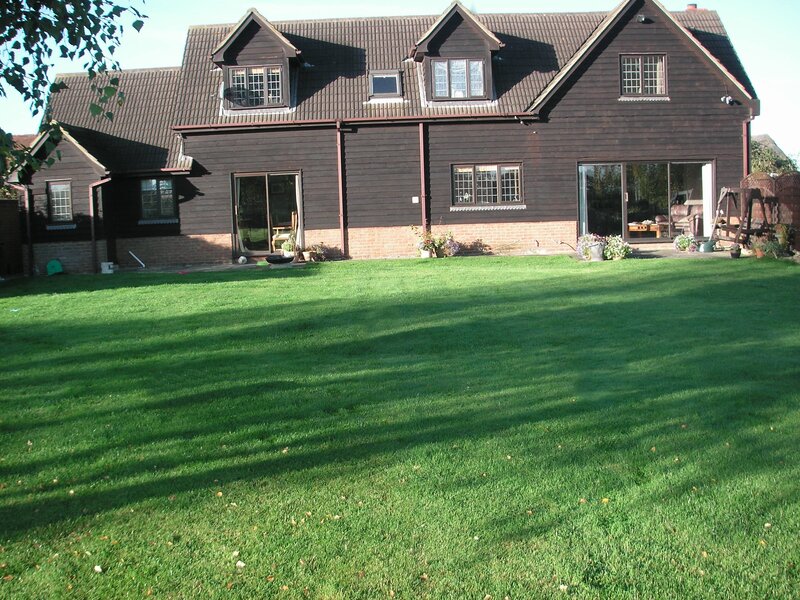 Backyard of a wooden house