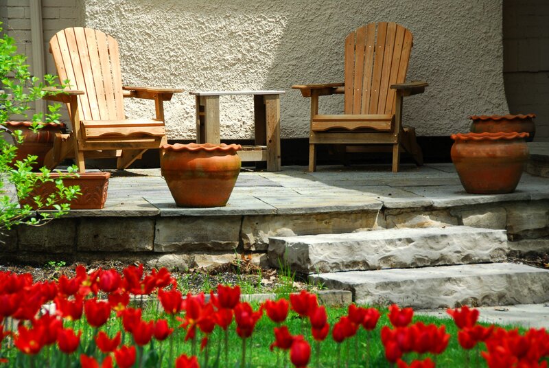 Backyard patio with red tulips