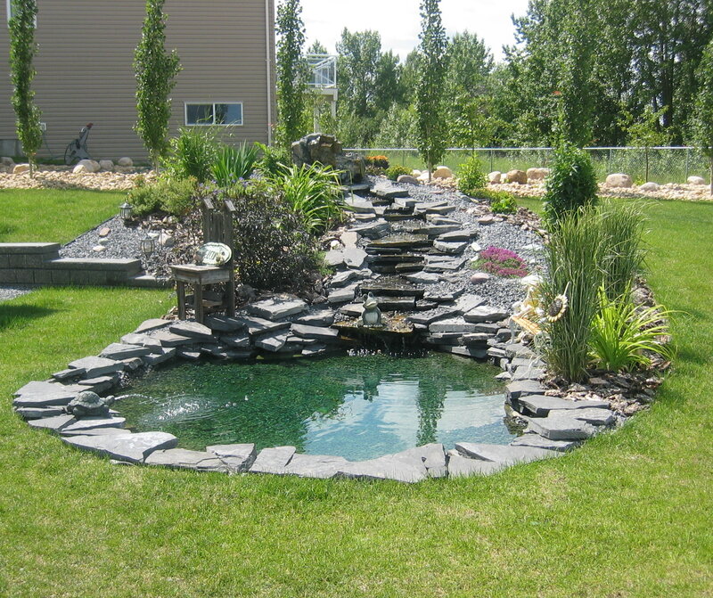 Backyard Pond with Waterfall