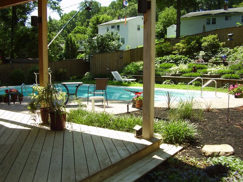 Backyard pool and deck area