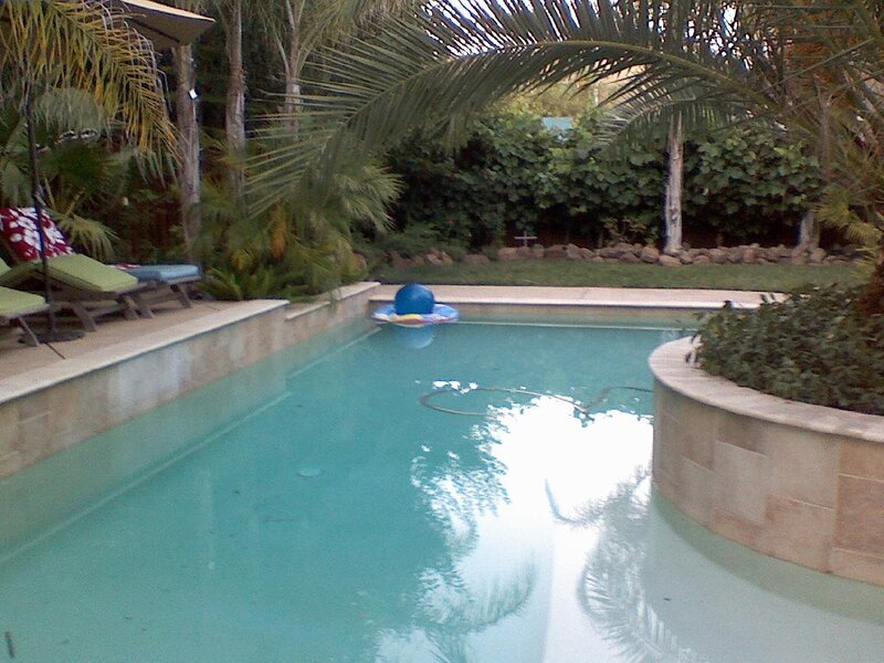 Backyard pool with lounge chairs