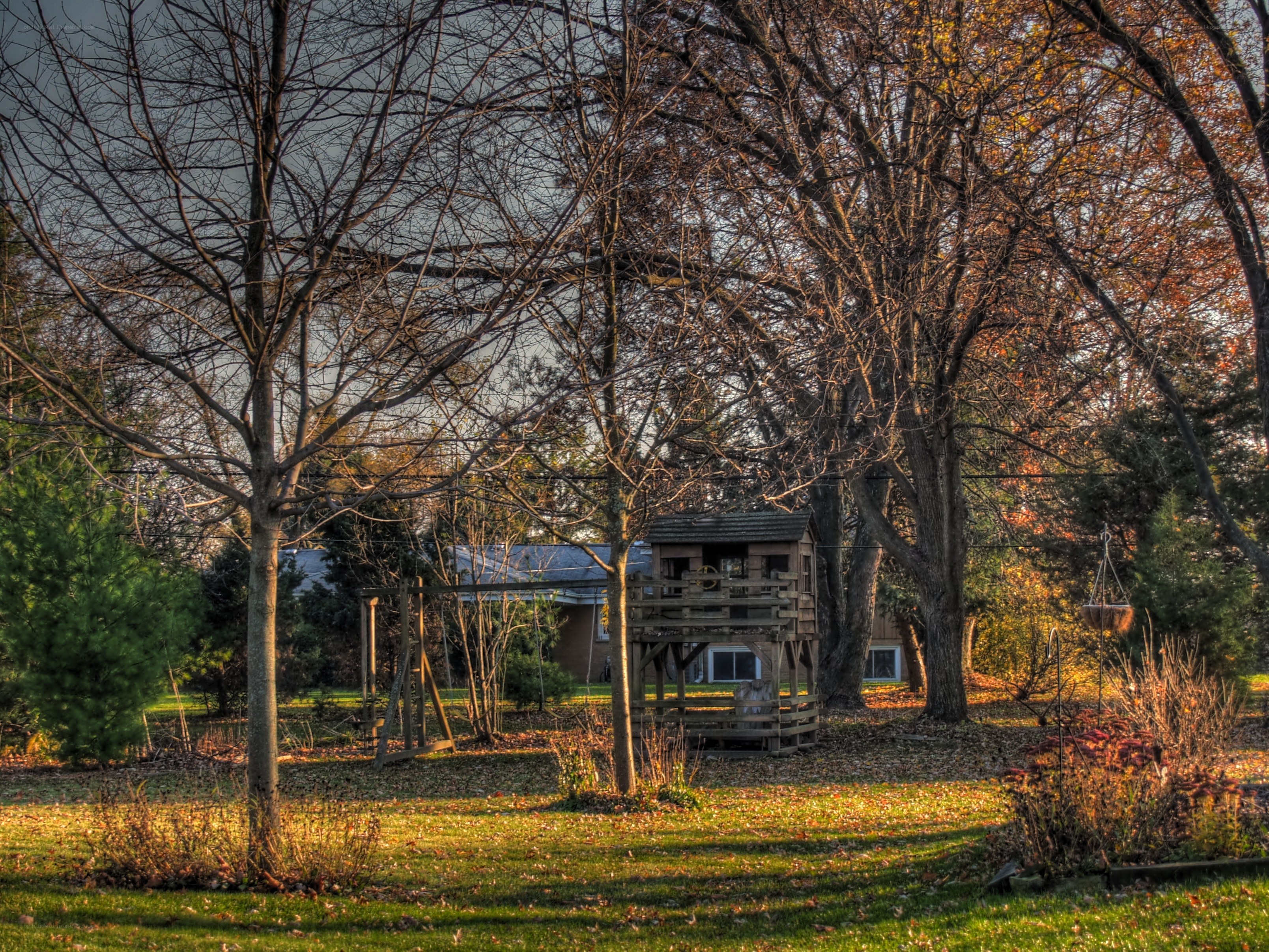 Backyard treehouse in autumn